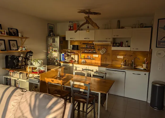 Apartament Aux Pieds Des Dunes